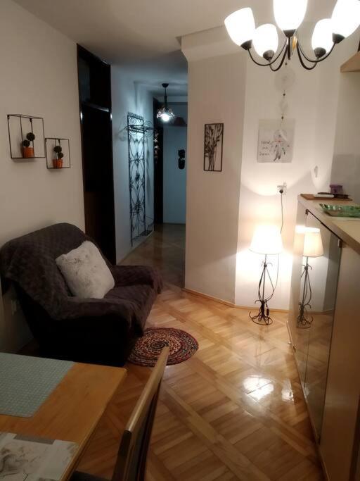 Alex Apartment Zemun Екстер'єр фото